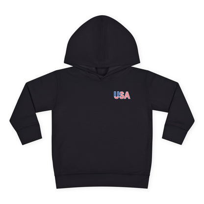 USA Dino Hoodie