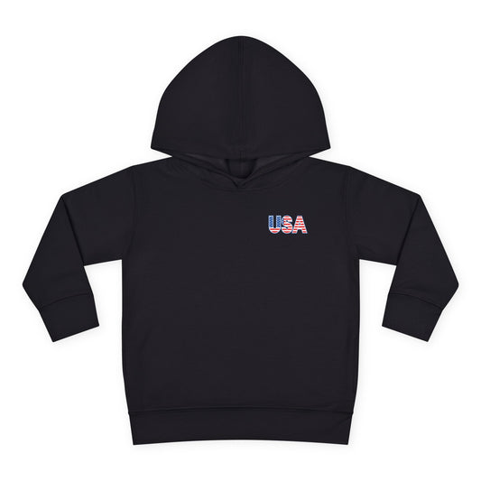 USA Dino Hoodie